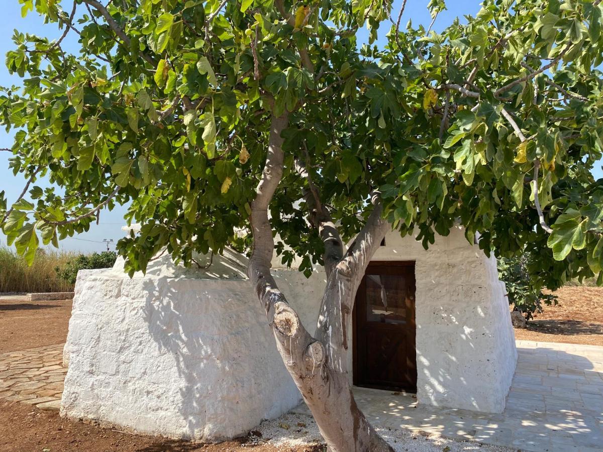 Trullo Seaside Polignano Villa Polignano a Mare Kültér fotó
