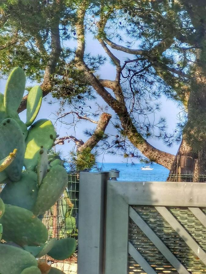 Trullo Seaside Polignano Villa Polignano a Mare Kültér fotó